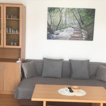 Apartmani Kuzmanovic Stan Na Dan Doboj Buitenkant foto